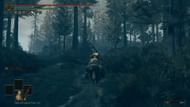 Take the right side's path to reach Pillar Path Waypoint Grace (Image via FromSoftware)
